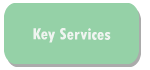 Windows Cleaning Services